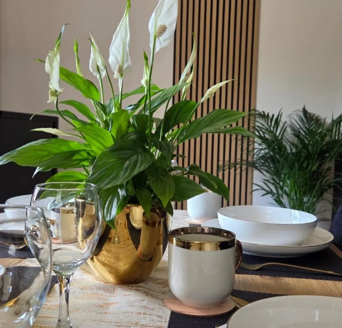 Apartament Gold Blisko Wawelu Kraków