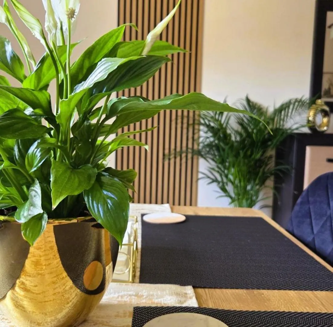 Apartament Gold Blisko Wawelu Kraków
